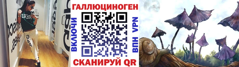 Галлюциногенные грибы GOLDEN TEACHER купить наркоту Волгореченск